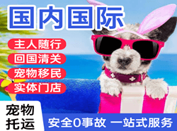 东极机场快递国际宠物托运 【国